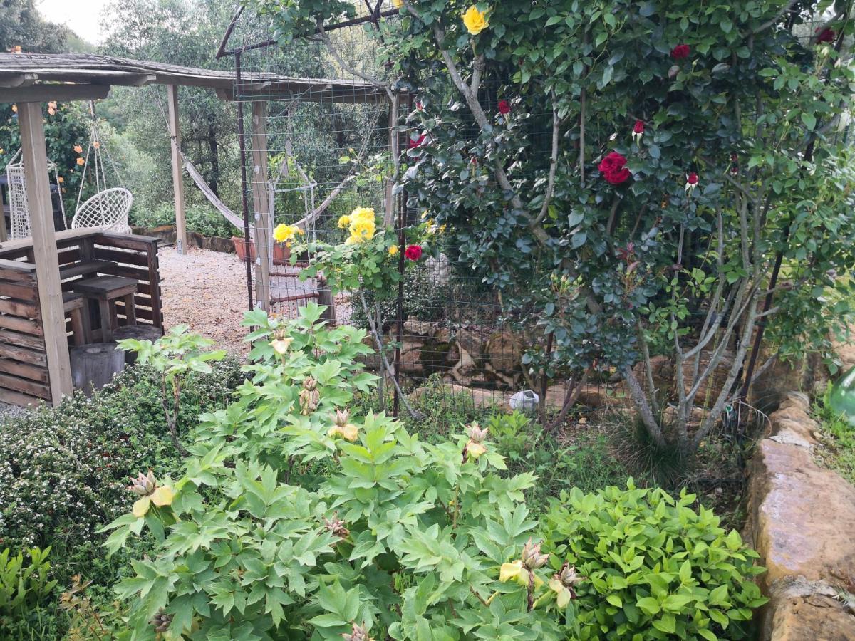 Agriturismo I Colli Montaione Extérieur photo